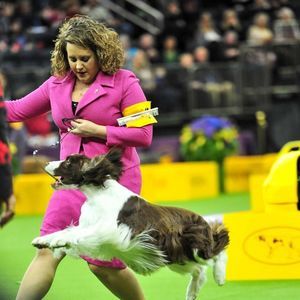 Meet your Posher, Meagan